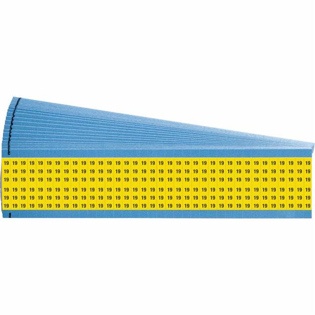 WM-19-YL-PK