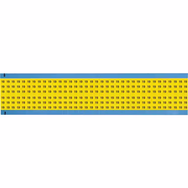 WM-19-YL-SC-PK