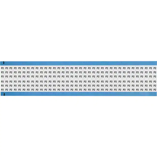 WM-P2-SC-PK